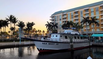 sea mist 111